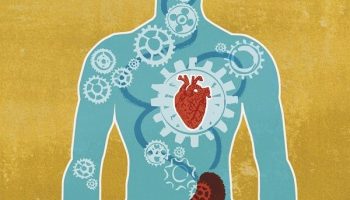 Volver a re-conectar con mi corazón, mi ser interno y disfrutar.